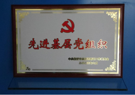 山重建机党委荣获沂河新区党工委先进基层党组织